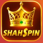 ShahSpin Game