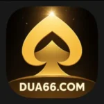 Dua66 Game Official App .com website.